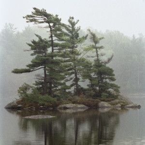 Meet your Posher, Katy